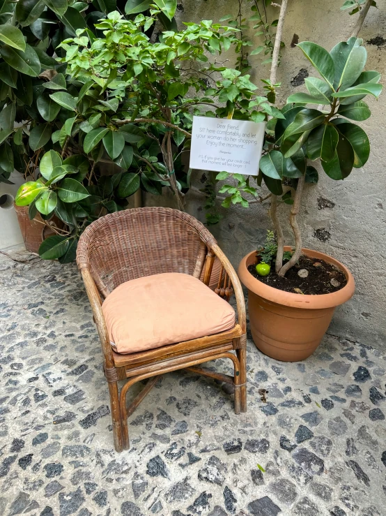 two chairs sitting next to each other on the ground