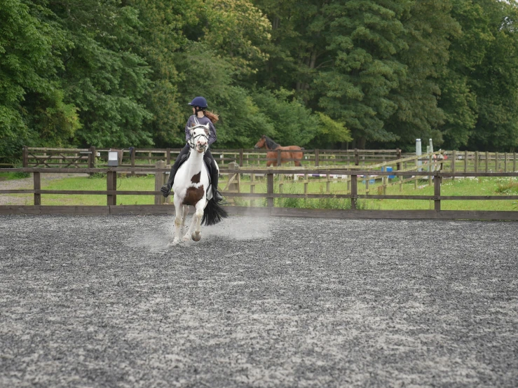 a person riding a horse in the dirt