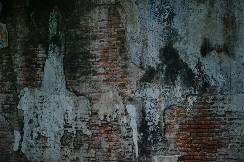 a brown and black horse in front of a wall