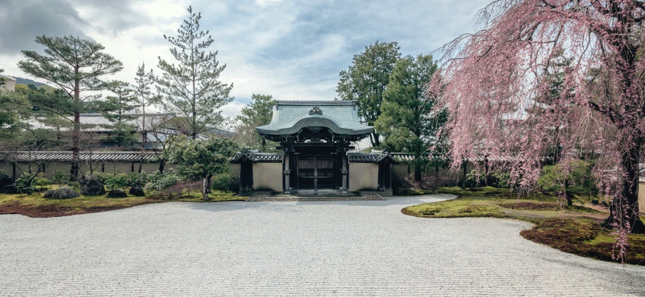 the back of a building with several flowering trees