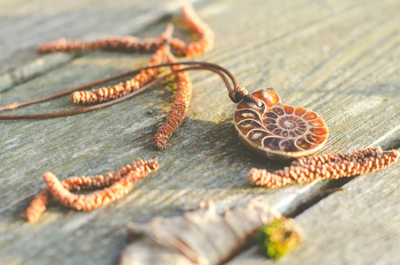 a necklace made of wooden beads on wooden surface