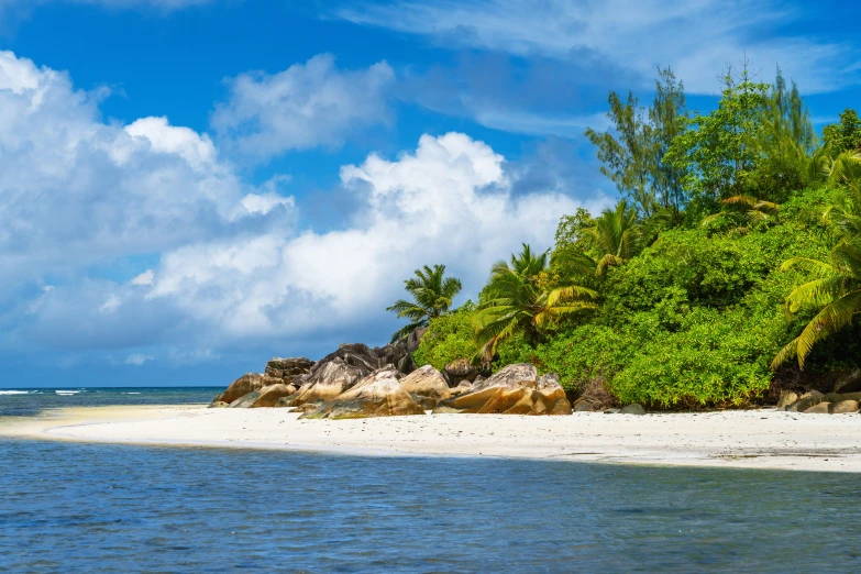 there is a tropical island with several small trees on top