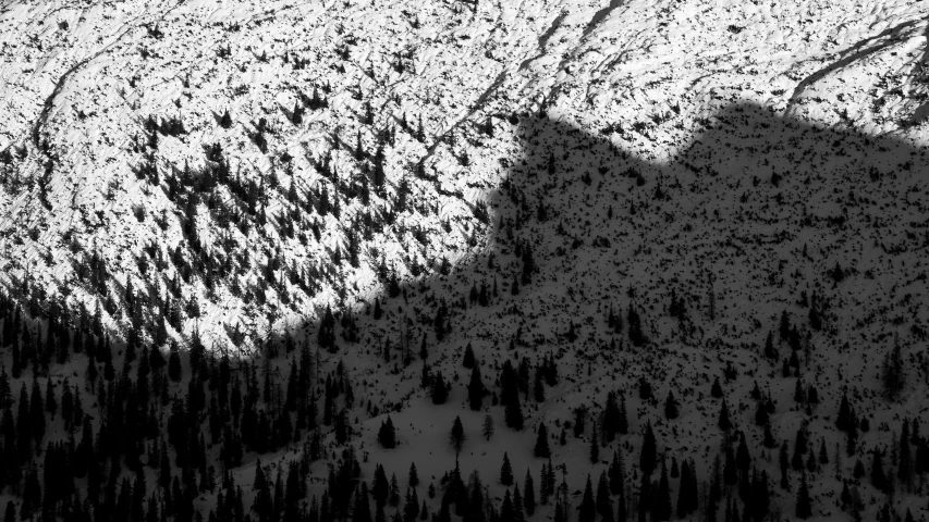 a snow covered mountain range with trees and the moon in the distance