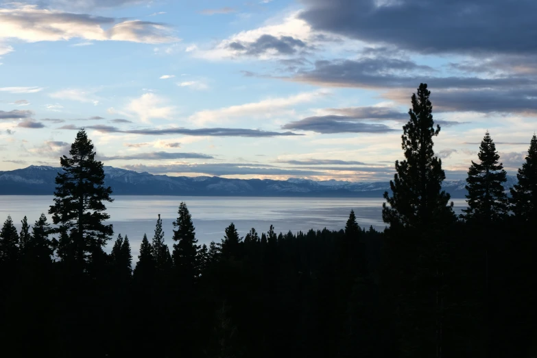 the trees and the sky are silhouetted by some water