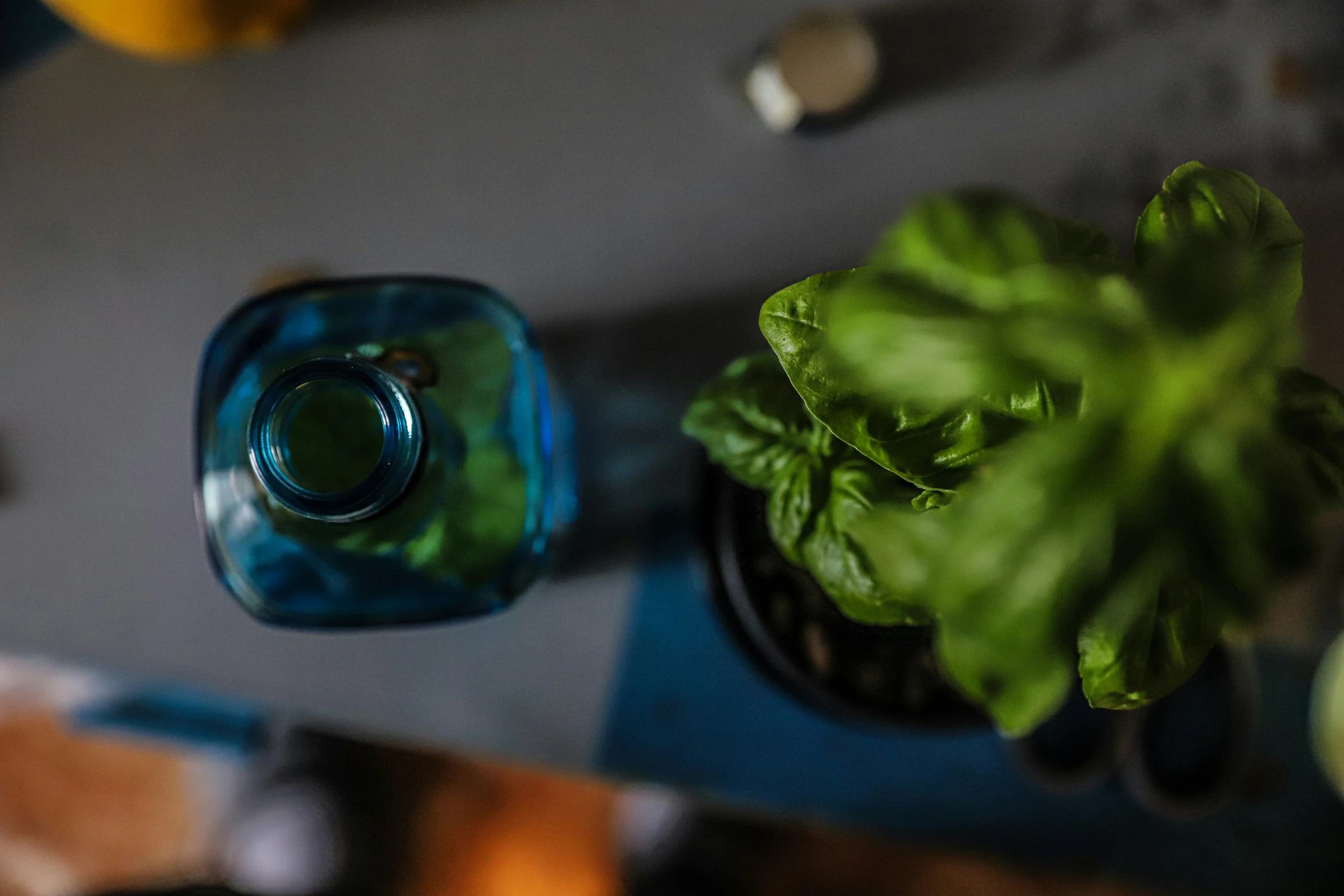 small glass cups are full of green tea and lettuce