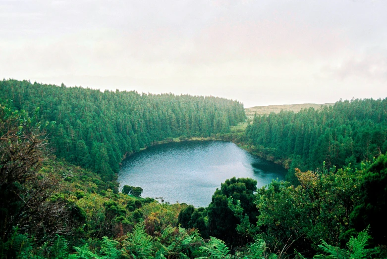 a large lake sitting between the green trees