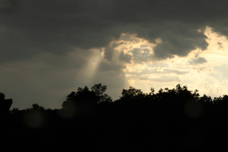 some dark clouds and trees on a sunny day