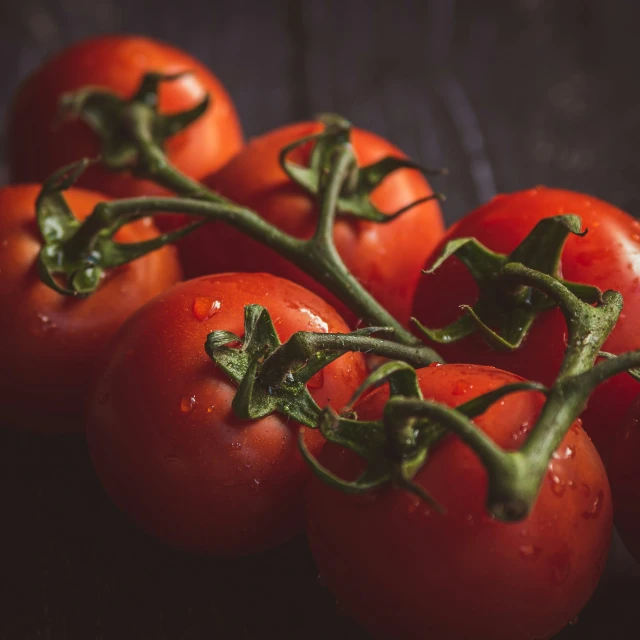 several tomatoes sit together on the surface