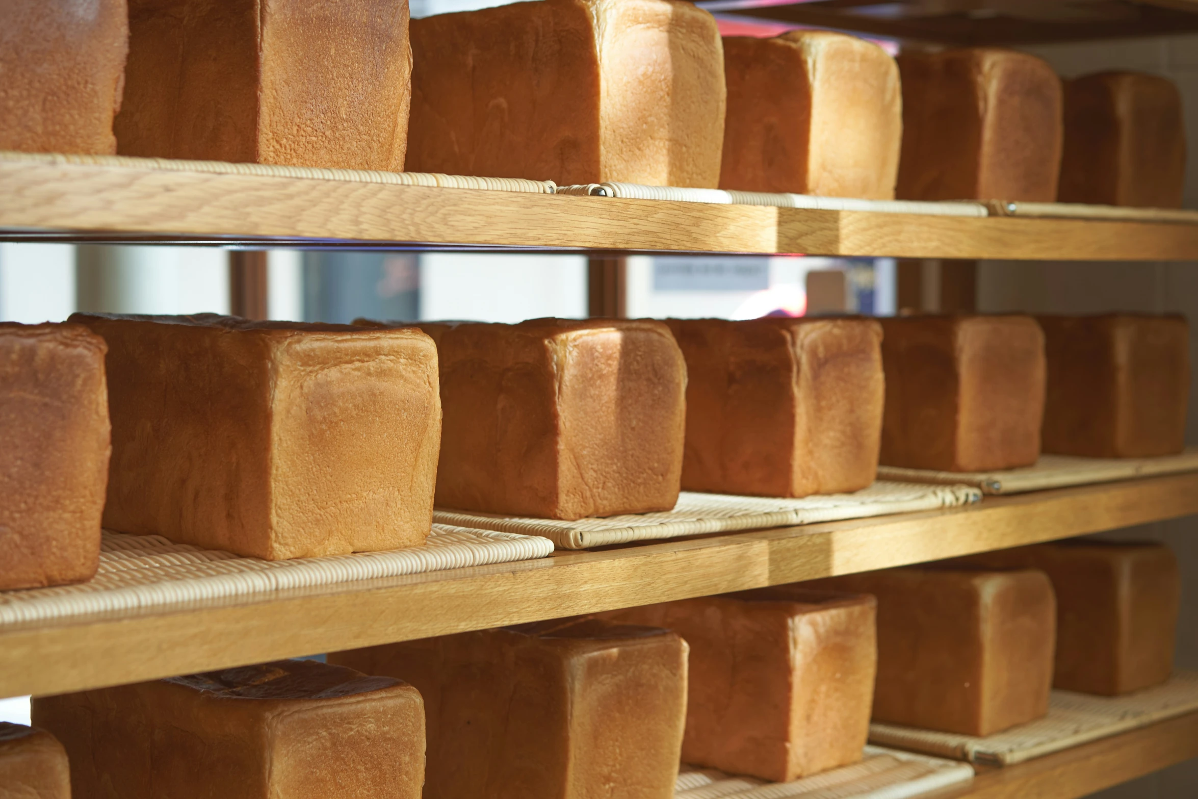 shelves in the store with many different sized items