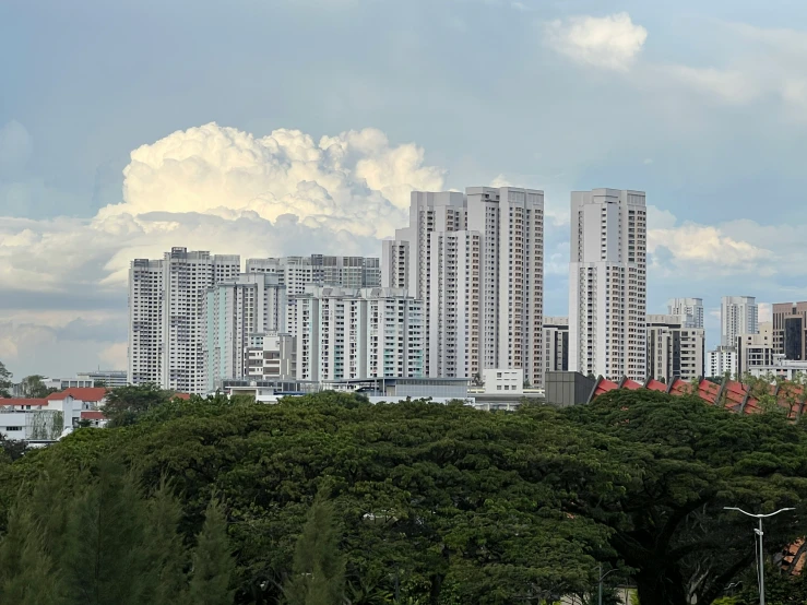 many high rise buildings with many trees on the side of them