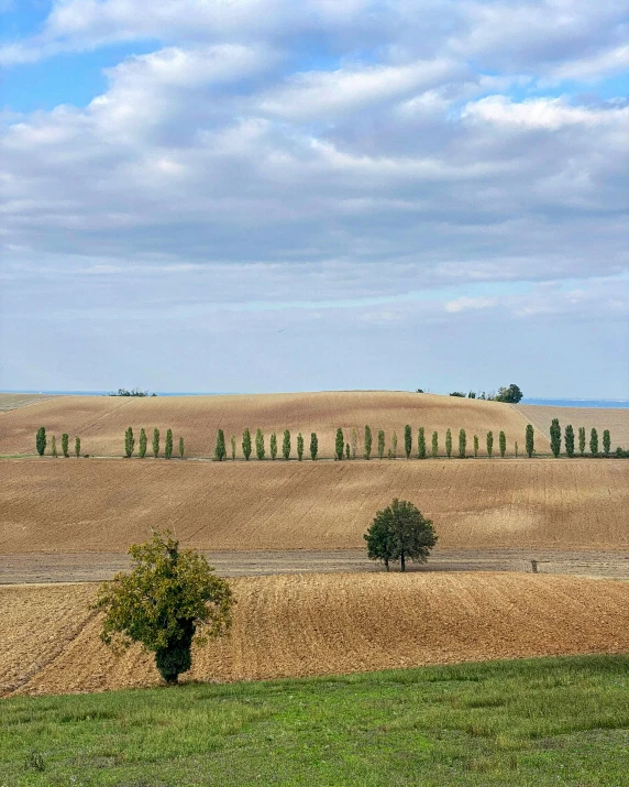 a dirt field with several trees on one side and a blue sky above