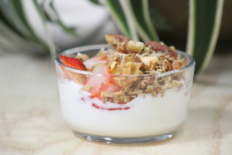 yogurt and granola sit in a glass bowl with a strawberry