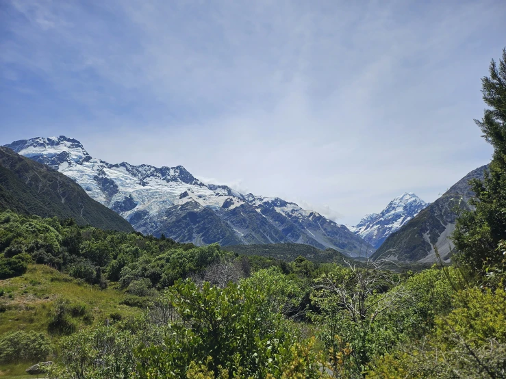 mountains covered with snow behind trees and a trail