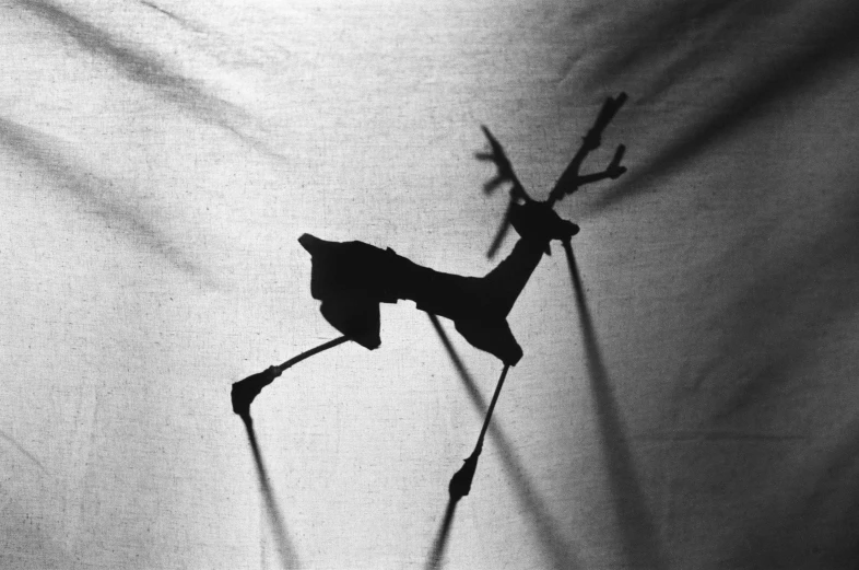 a black and white image of a giraffe casting a shadow