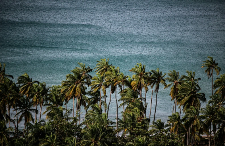 the ocean is blue with white and brown boats floating below it