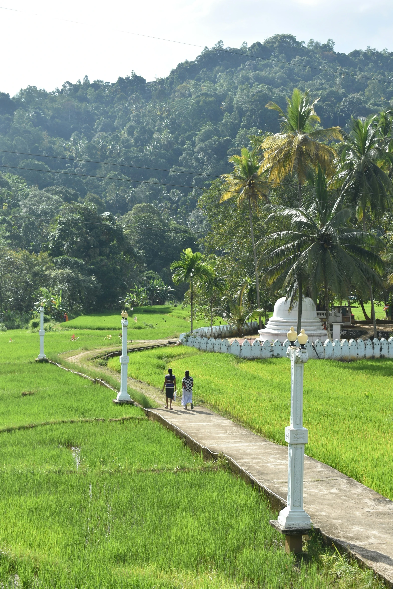 some white columns in the grass with people walking through