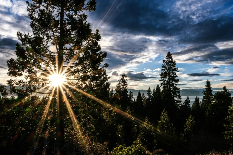 the sun peeks through clouds while a forest holds many trees