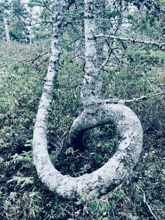 an odd looking toilet in the grass