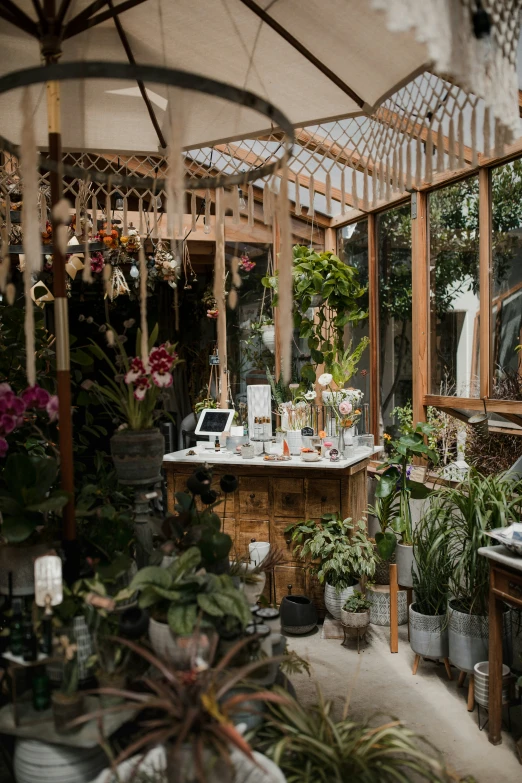 a room filled with lots of plants and flowers