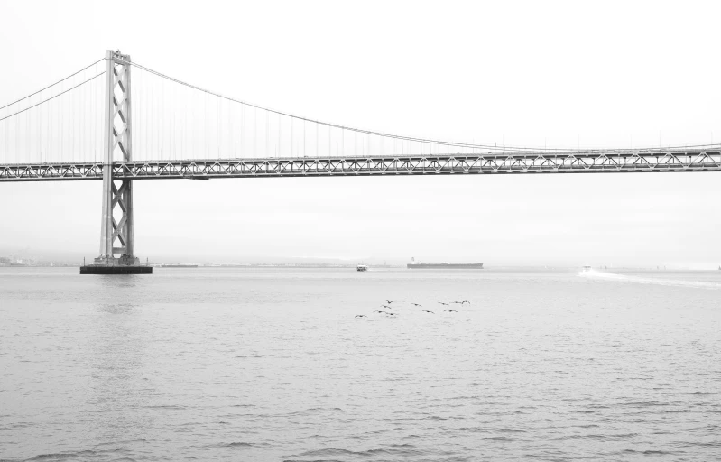 the bridge is shown against the gray sky