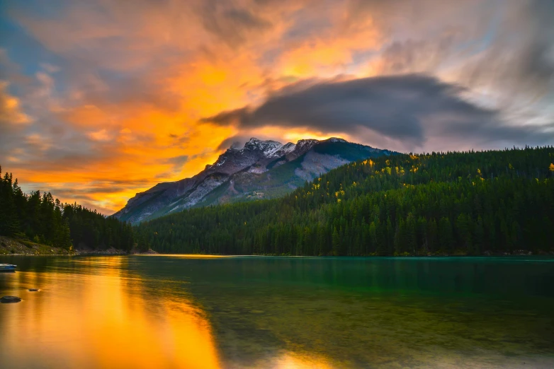 a large lake in the middle of the forest