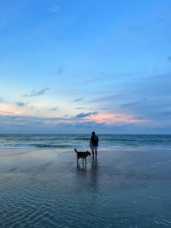 a man walks his dog on the beach at sunset