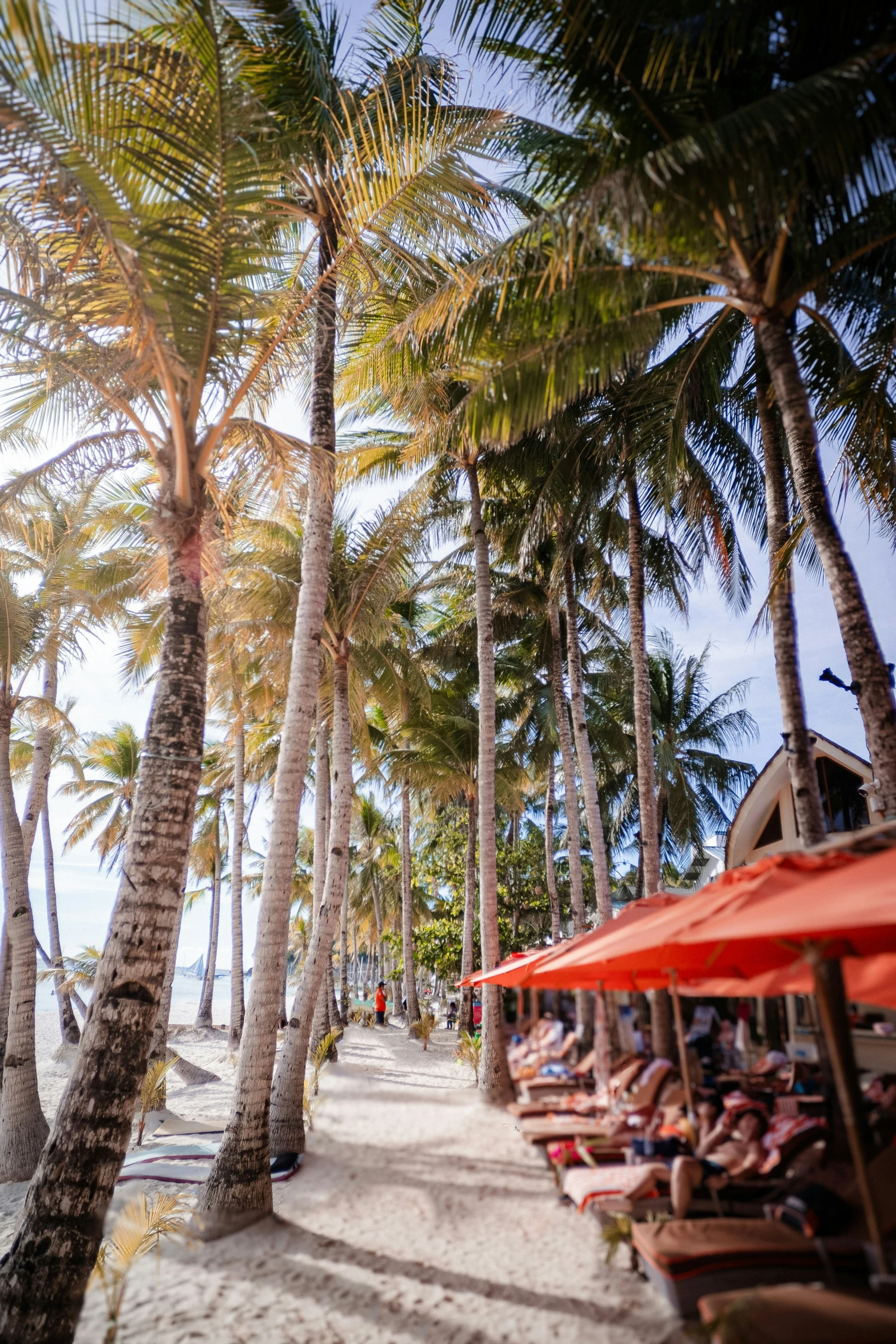 the beach has a few people at the umbrellas