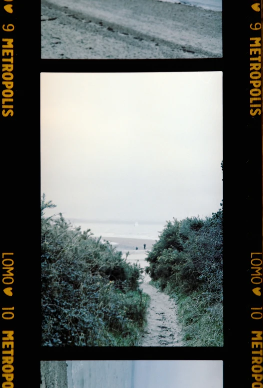 three pos of two dirt trail with beach in the distance