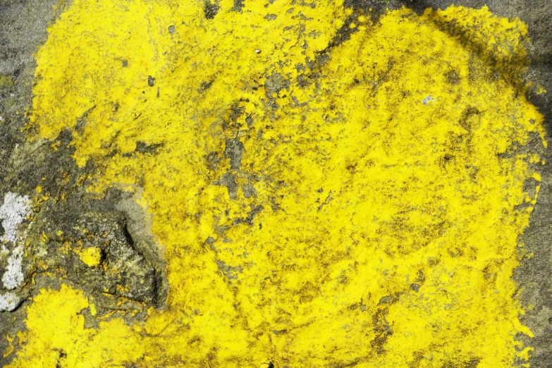 yellow and white paint covers an old concrete