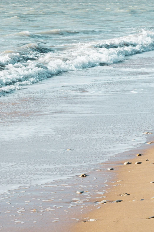 a couple walking along the ocean with their surf board