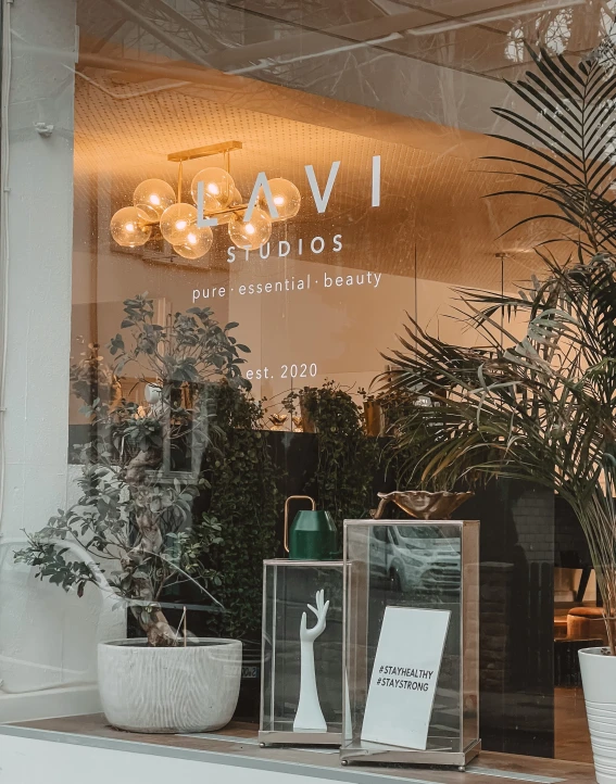 a store window that has some plants in front of it