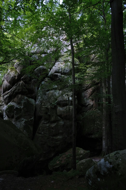 a large boulder with trees in the background