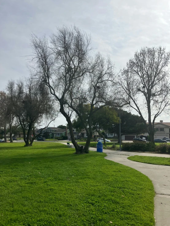a park and a bench and walkway with trees
