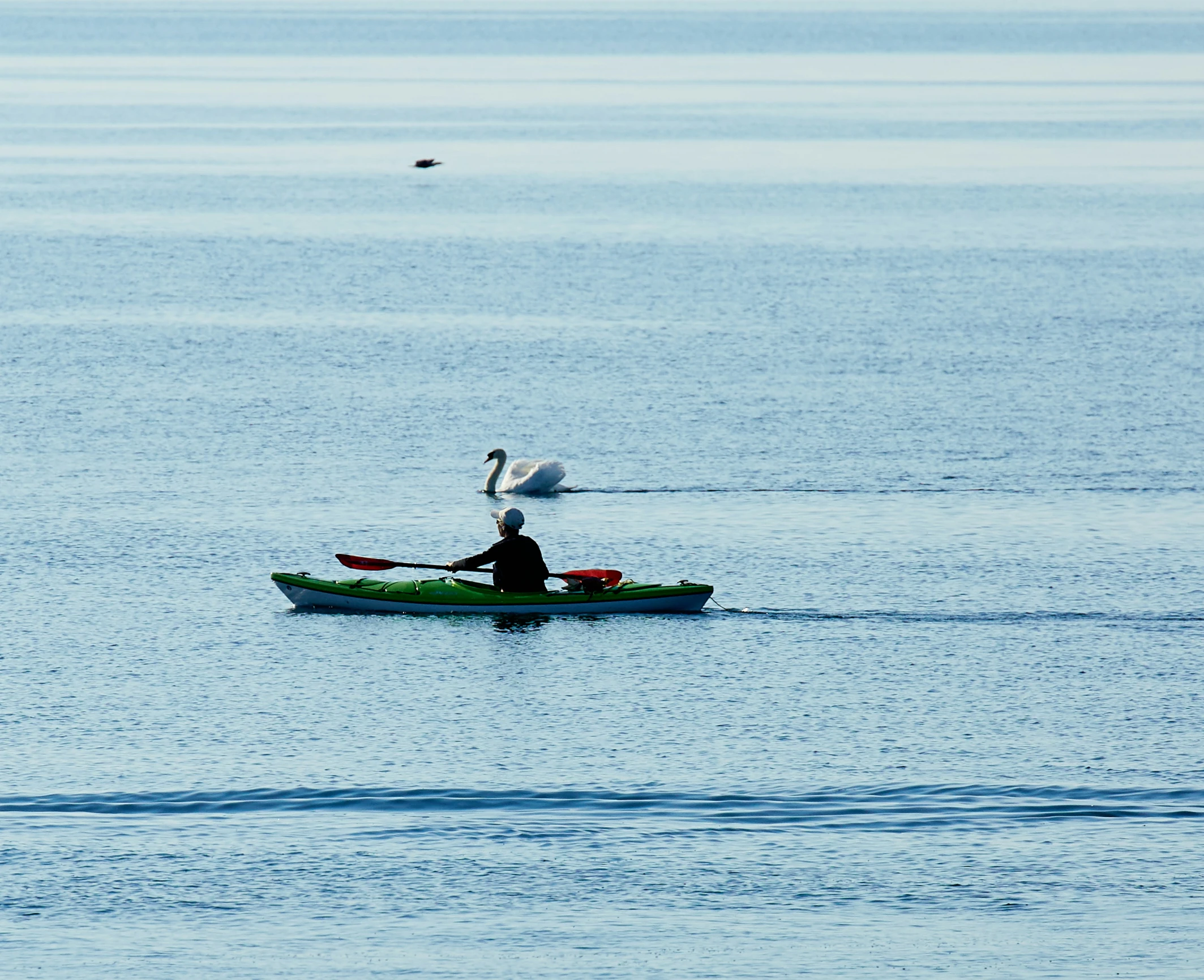 a person is rowing a canoe on the water