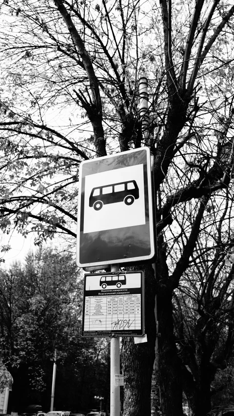a bus on the side of the road near a tree