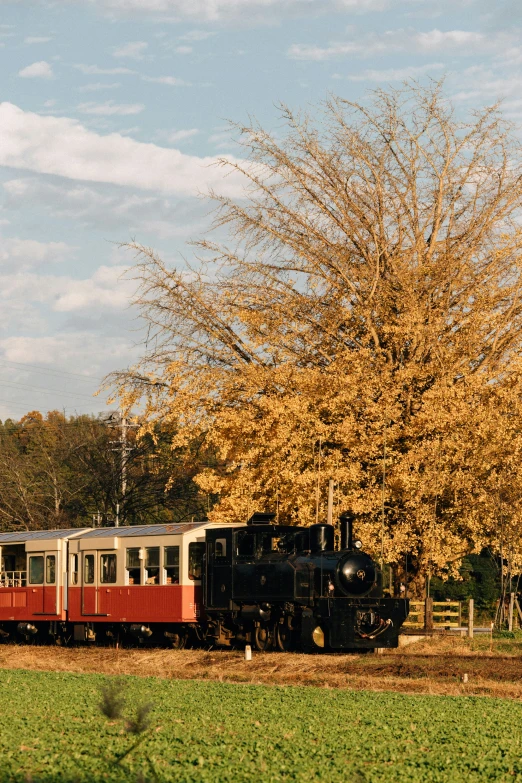 a vintage train is riding along the railroad tracks