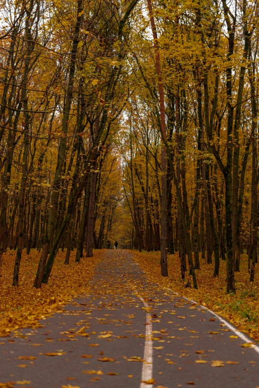 the curve in the road is painted black and yellow