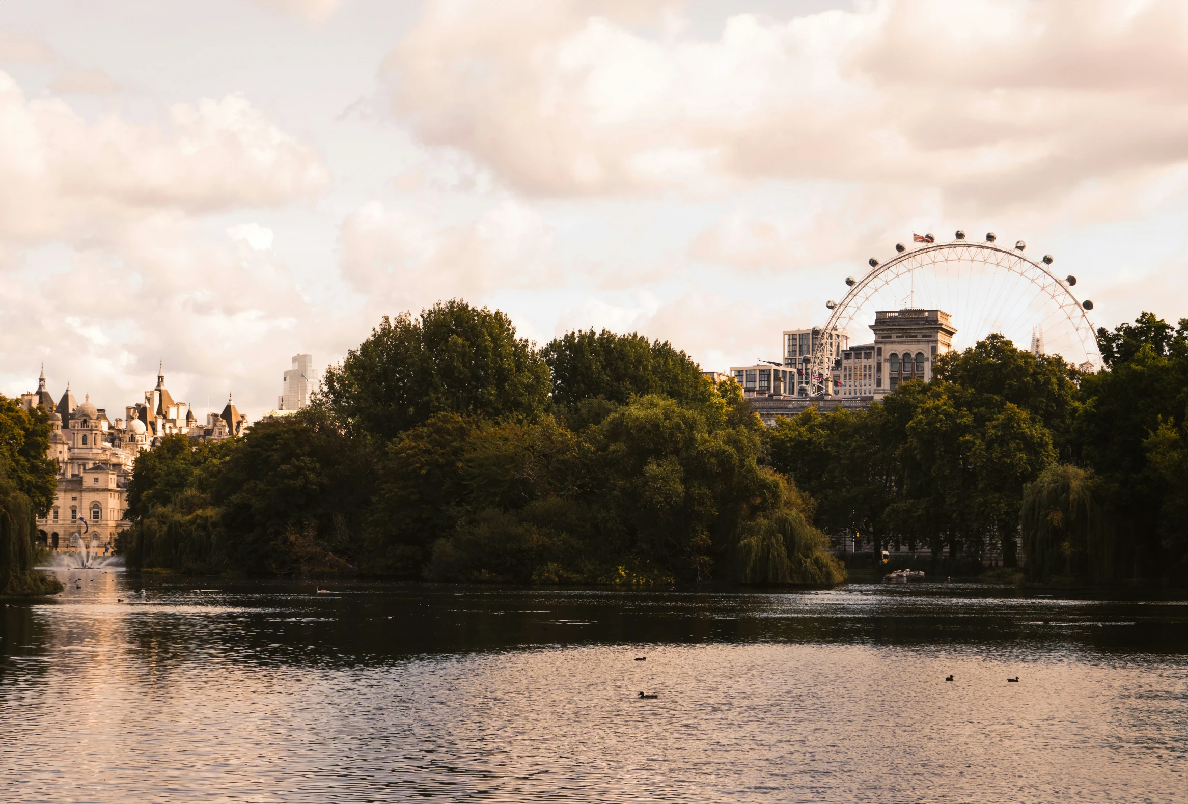 a view of an outdoor park and the river