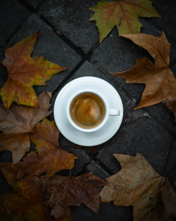 cup of coffee on ground covered with fall leaves