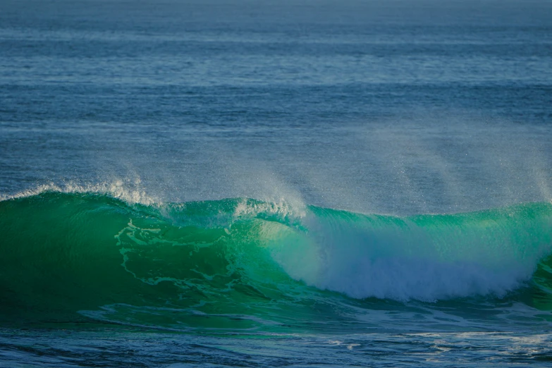 green waves in the ocean on a sunny day