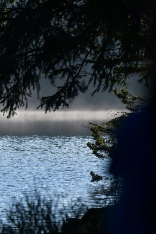 the bird is standing on a rock by the water