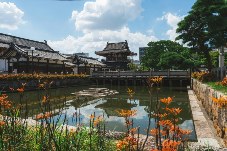 a small village has flowers growing all over the water