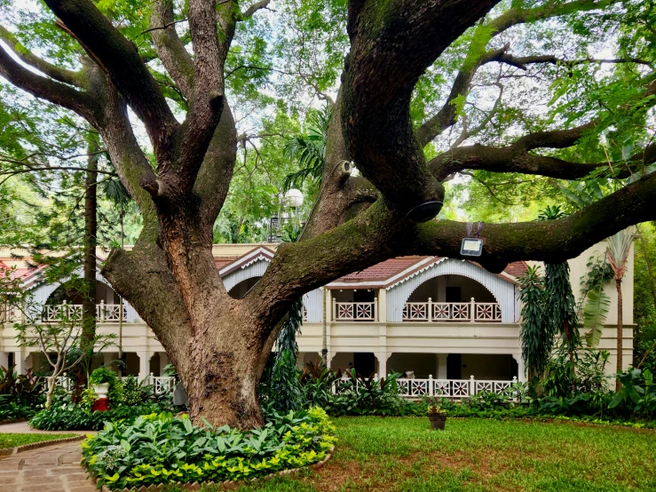 the back yard has trees and a pathway