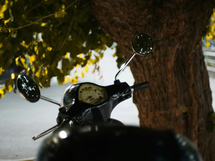 the handle bars on a motorcycle parked under a tree