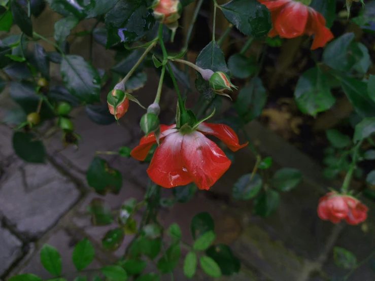 some flowers that are on a nch on a sidewalk