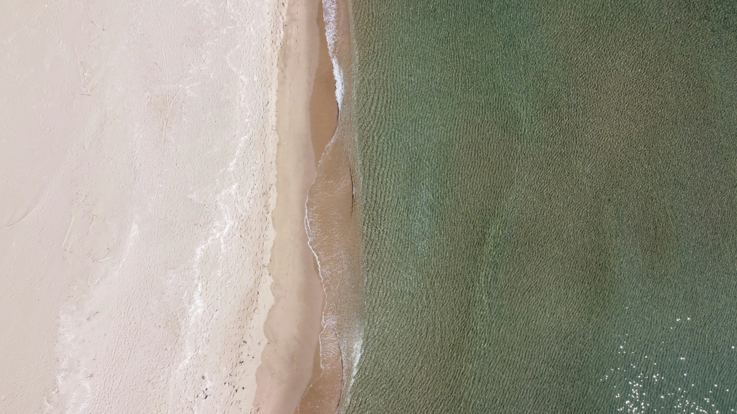 an aerial view of a beach area near the ocean