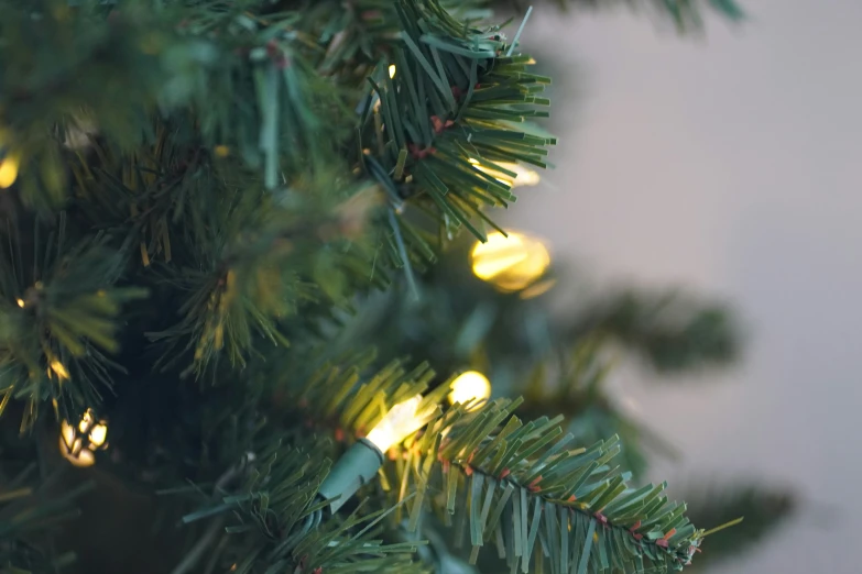 christmas tree with gold lights in the nches