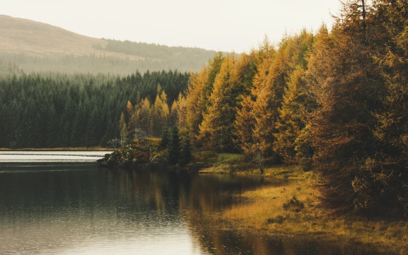 trees in fall with lake in foreground