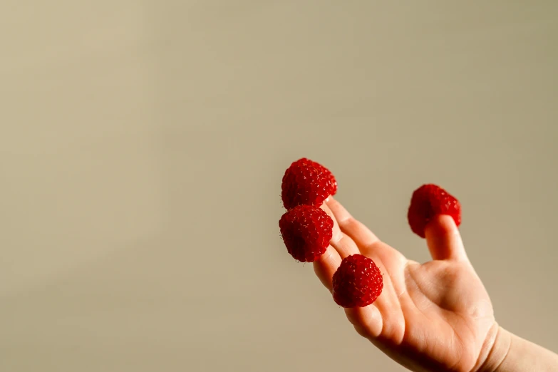 four raspberries sitting on the palm of a hand