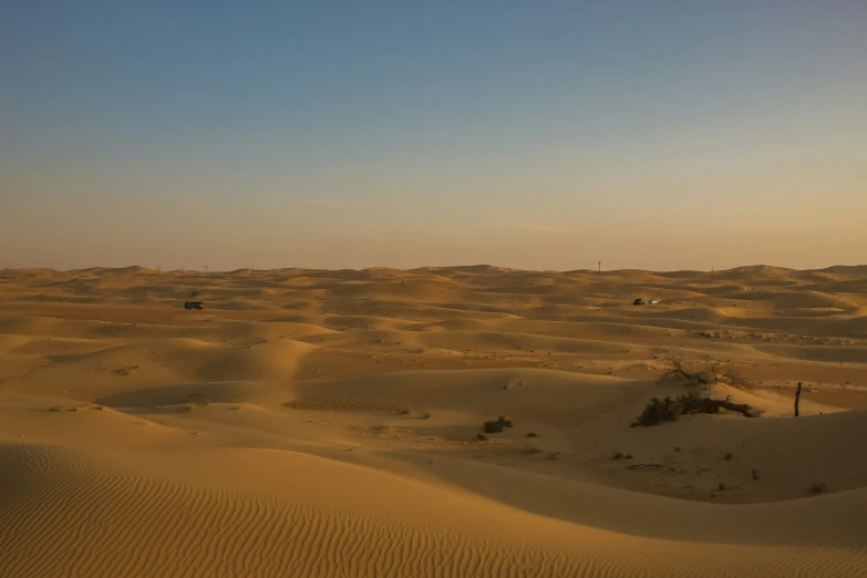 a lone tree sitting in the middle of a desert